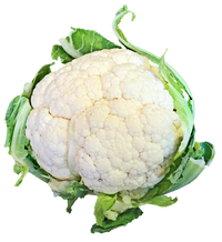Paxton – Cauliflower Seed