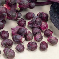 Brussels Sprouts Seeds