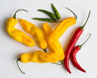 Yellow hot pepper Seeds line of organic vegetable Seeds