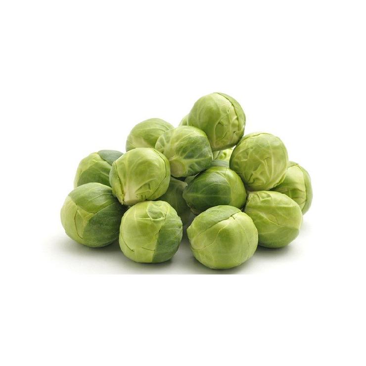 Silvia – Brussels Sprout Seed