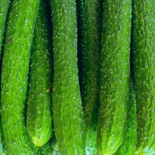 cucumber vegetable seeds for home garden