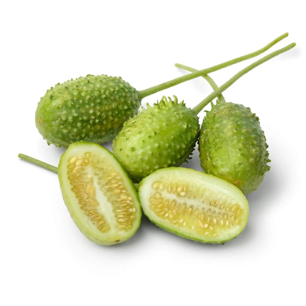 Wild Gherkin Cucumis anguria seeds for garden planting
