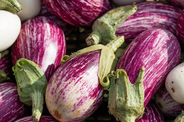 Calliope – Eggplant Seed