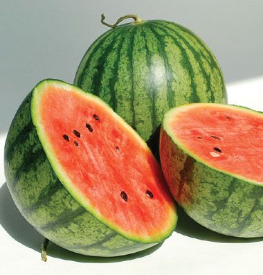 Little Baby Flower – Watermelon Seed