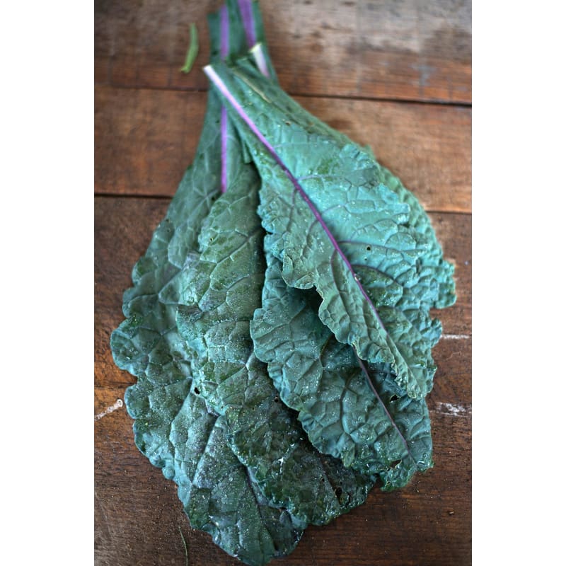 Dazzling Blue – Organic Kale Seed