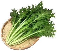 Wasabina Mustard Brassica rapa seeds for garden planting