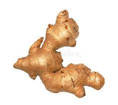 Mixed Perennial Ginger Zingiber officinale for planting in home garden