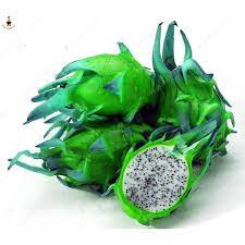 Green Pitaya Hylocereus undatus seeds for planting in home garden