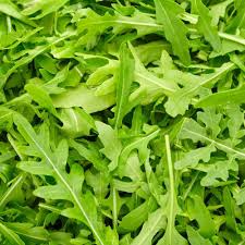 Rocket Pegasus Diplotaxis tenuifolia seeds for salad garden planting