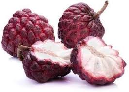Red custard apple Annona reticulata seeds for tropical garden