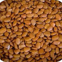 Brown Tepary Bean Phaseolus acutifolius seeds for garden planting