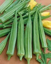 Cajun Delight Okra Abelmoschus esculentus seeds for urban garden planting