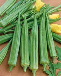 Cajun Delight Okra Abelmoschus esculentus seeds for urban garden planting