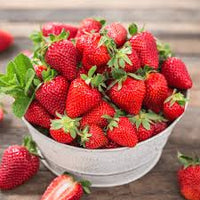 Japanese Hokowase Strawberry Fruit Seeds for Planting - Sweet, Early-Season Harvests, Heoirloom Seeds