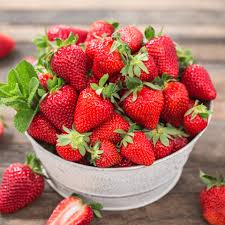 Japanese Hokowase Strawberry Fruit Seeds for Planting - Sweet, Early-Season Harvests, Heoirloom Seeds