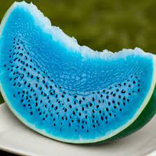 Sky blue watermelon Citrullus lanatus seeds for home garden