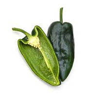 Ancho Poblano Capsicum annuum seeds for garden planting