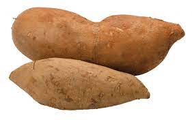 Bogachiel Yacon Seeds for Planting – Non-GMO, Heirloom Vegetable Seeds