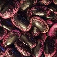 Scarlet Runner Bean Phaseolus coccineus seeds for planting