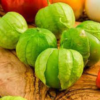 Cream Tomatillo Fruit Seeds - Tangy Fruit for Salsa and Sauces 100 pcs