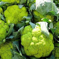 Green Cauliflower Seeds for Planting - 100 pcs