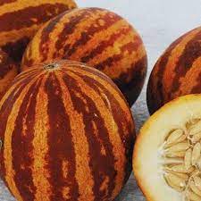 Breast melon plant seeds for tropical garden