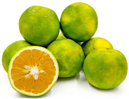 Citrus Limetta Citrus limetta seeds for planting in home garden