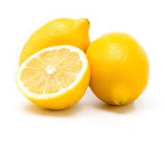 Primofiori Lemon Citrus limon seeds for planting in home garden