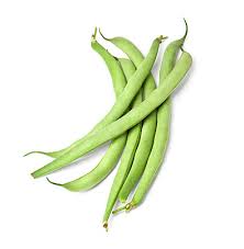 Green Snap Bean Phaseolus vulgaris for planting in home garden