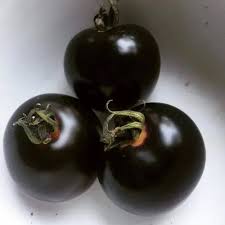 Black Tomato Vegetable Seeds for Planting