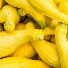 Crookneck Yellow Squash Vegetable Seeds for Planting - heirloom & Non-GMO Garden Seeds