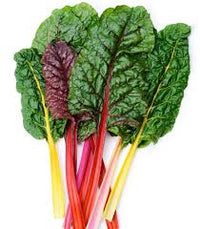 Rainbow Swiss Chard Beta vulgaris seeds for garden planting
