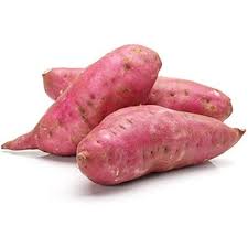 Pink Sweet Potato Ipomoea batatas seeds for raised bed planting