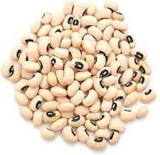 White Cattle Bean Phaseolus coccineus seeds for garden planting