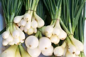 Green Spring Onions (Scallions) Vegetable Seeds for Planting - 100 pcs