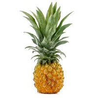 Queen Victoria Pineapple Fruit Seeds for Planting -Variety for Unique Pineapples in Your Yard, Heirloom Seeds