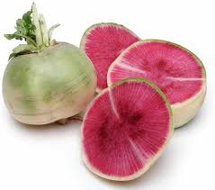 Watermelon Radish Raphanus sativus seeds for garden planting