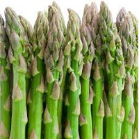 Green Asparagus Virgatus Plant Seeds for Planting, heirloom & Non-GMO Seeds
