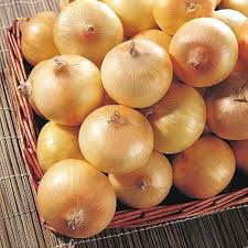 Yellow Onion Vegetable Seeds for Planting – Heirloom, Non-GMO Vegetable Seeds