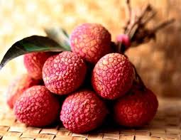 Hak Ip (Black Leaf) Lychee Fruit Seeds for Planting - Grow Your Own Sweet Lychee Trees at your Backyard Orchid