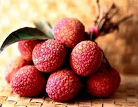 Hak Ip (Black Leaf) Lychee Fruit Seeds for Planting - Grow Your Own Sweet Lychee Trees at your Backyard Orchid
