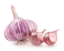 Purple Stripe Garlic Vegetable Seeds for Planting –Heirloom & Non-GMO Seeds