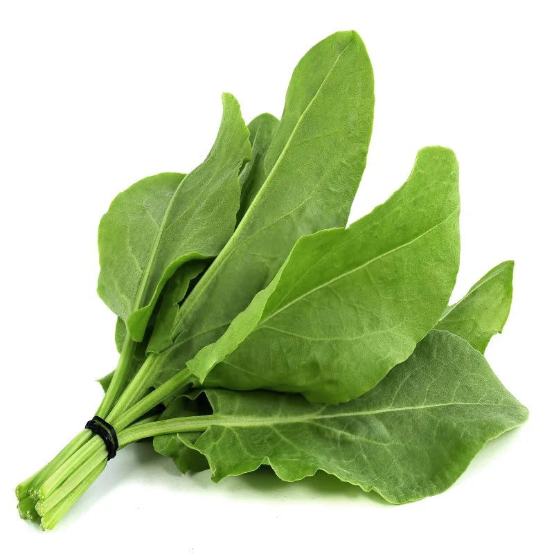 Sorrel – Organic Green Seed