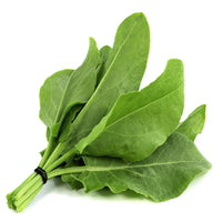 Sorrel – Organic Green Seed