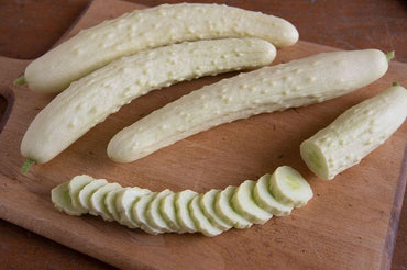 Itachi – Cucumber Seed