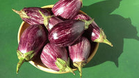 Nubia – Eggplant Seed