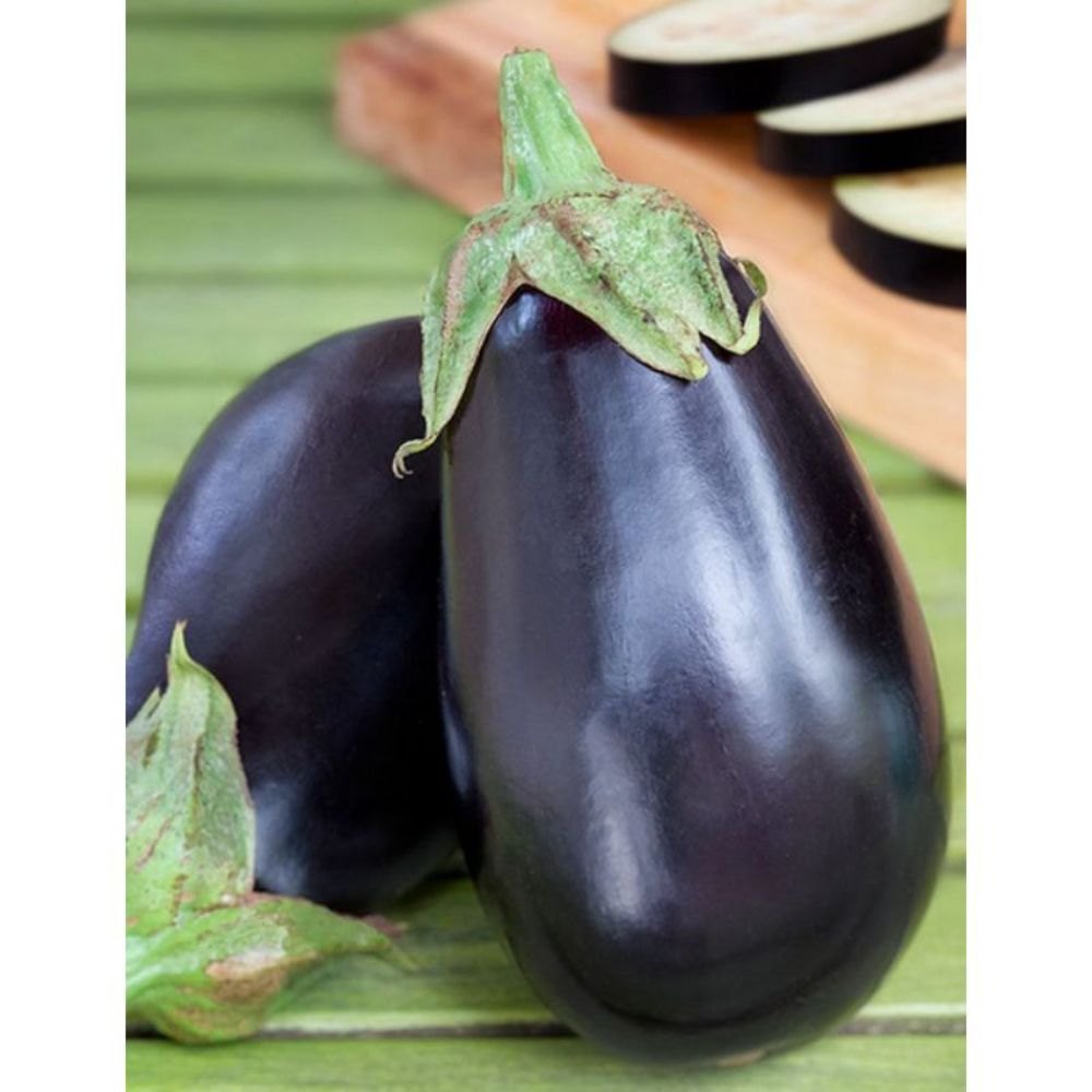 Eggplant- Black Beauty