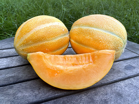 Musk Melon Hybrid Mithas Seeds