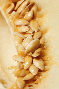 Muskmelon Seeds