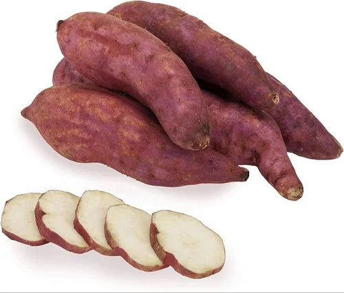 Sweet Potato- Northern Star